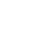 LION WHAM Logo